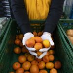 Das Bild zeigt mehrere Obst und Gemüsekabel. Bitte auf einer zu Herzen ausgebreiteten Hand liegen einige Mandarinen.